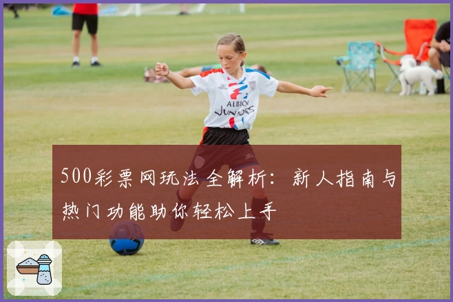 500彩票网玩法全解析：新人指南与热门功能助你轻松上手