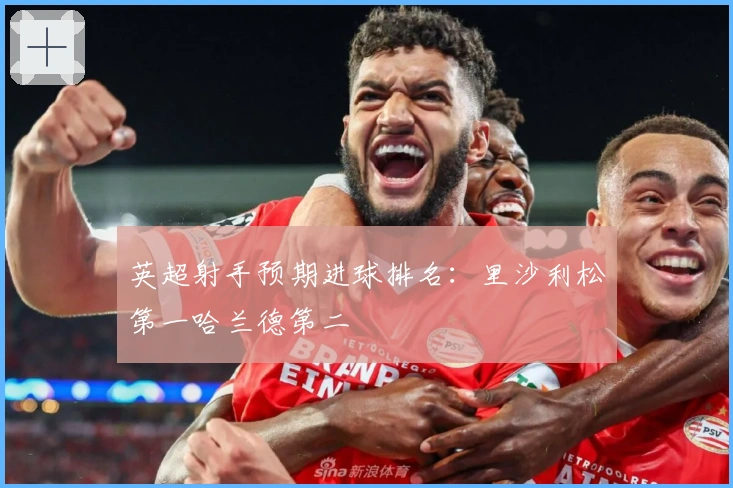 英超射手预期进球排名：里沙利松第一哈兰德第二