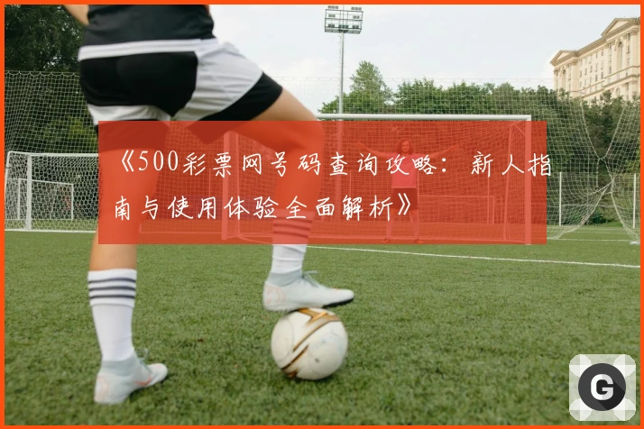 《500彩票网号码查询攻略:新人指南与使用体验全面解析》