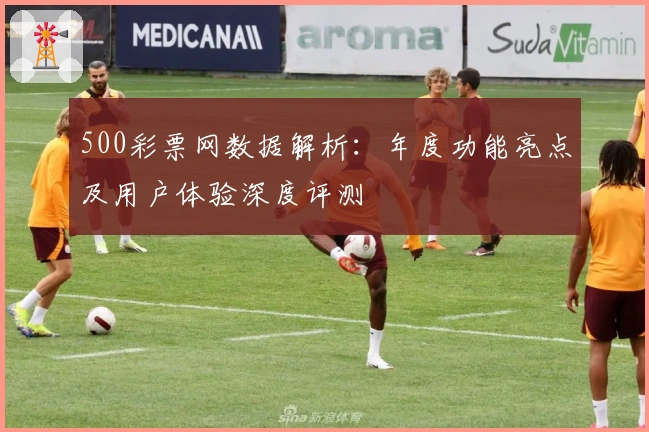 500彩票网数据解析：年度功能亮点及用户体验深度评测