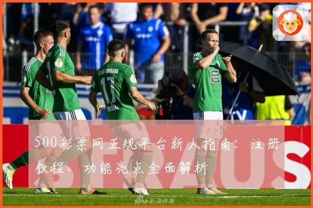 500彩票网正规平台新人指南：注册教程、功能亮点全面解析
