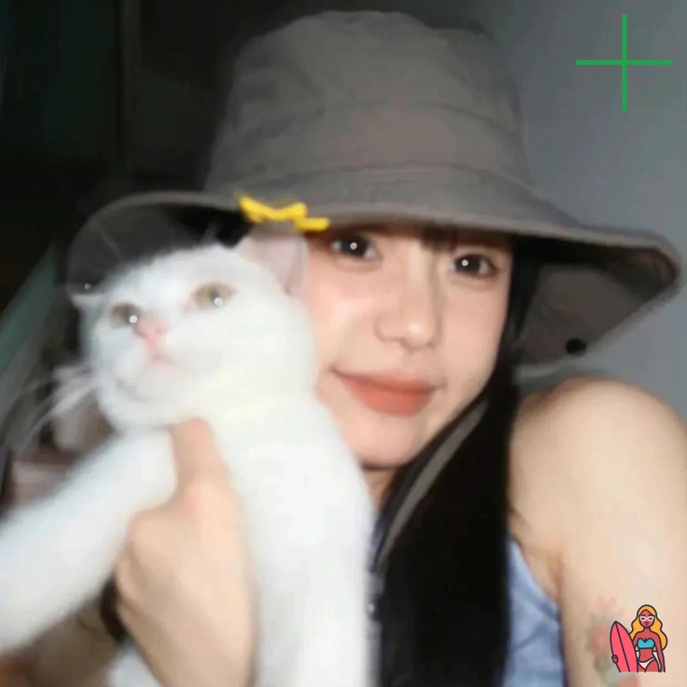 欧冠调侃粉（浙江省）